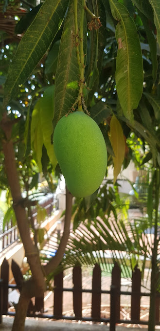 Google Maps image 18