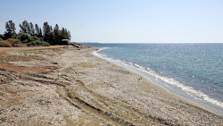 Photo de Filiotis Beach avec un rivage spacieux