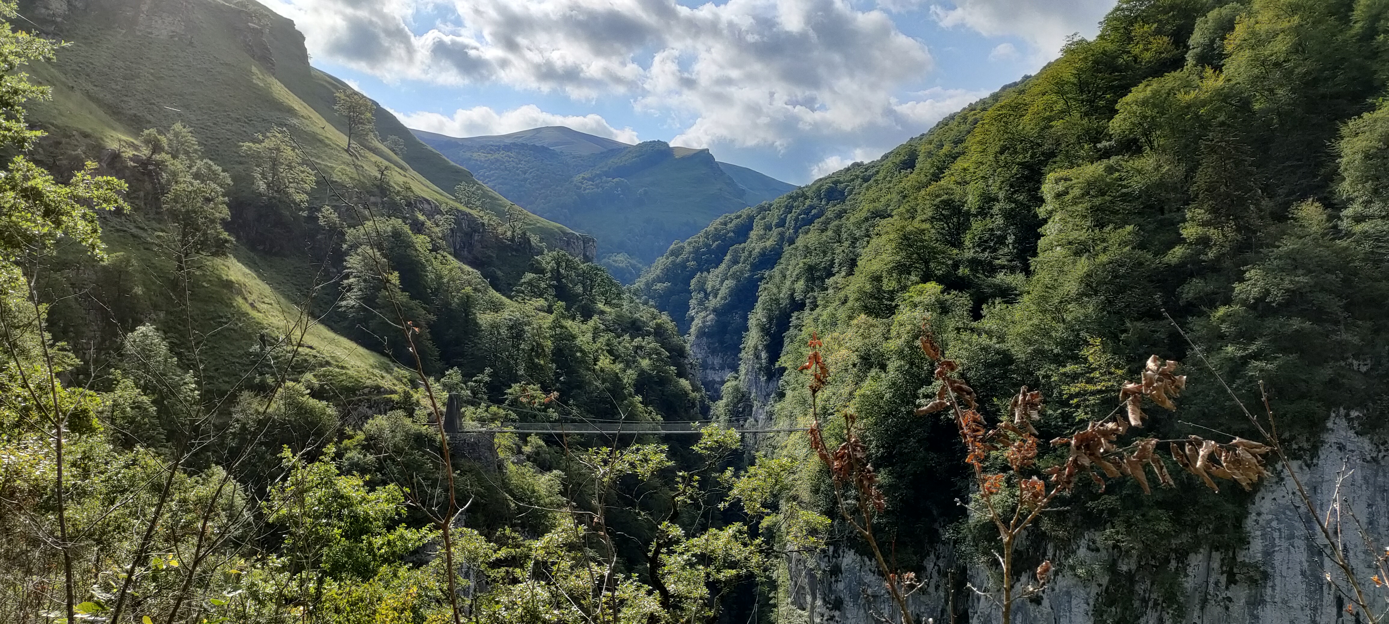 Photo n° 2 de l'avis de Domi.e fait le 06/09/2021 à 13:31