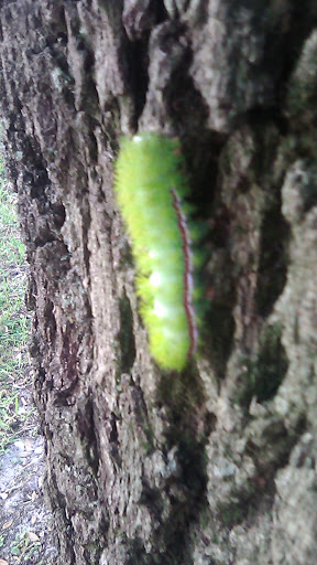 Water Park «Riverwalk Splash Park», reviews and photos, 452 3rd Ave W, Bradenton, FL 34205, USA