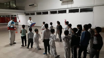 Taekwondo ITF Bella Vista Escuela Hwa Rang