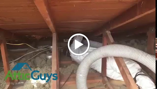 Pest Control Service «Attic Guys - Los Angeles - The Insulation Experts», reviews and photos