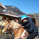 Photo n°7 de l'avis de Antonio.e fait le 14/03/2020 à 21:47 sur le  Agritur Bontempelli à Pellizzano