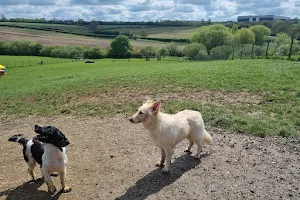 Braunston Secure Dog Walking Field image