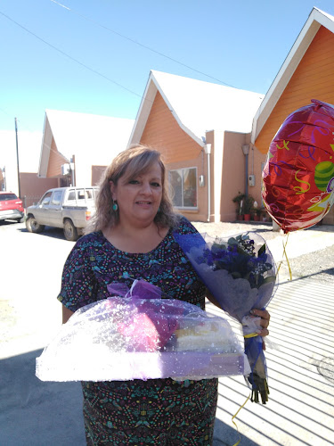 ParaMimar, desayunos sorpresa, regalos y flores - Chillán