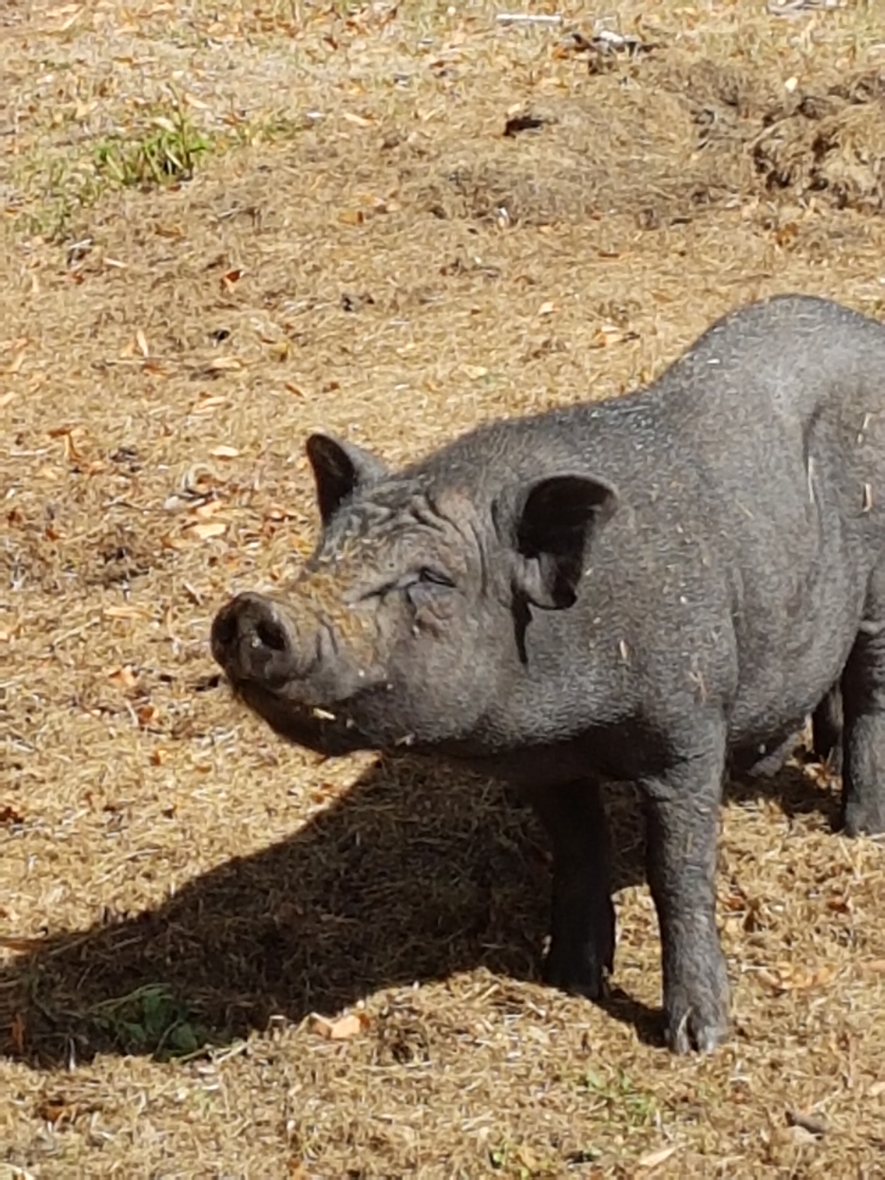 Photo n° 3 de l'avis de Gilles. fait le 29/07/2020 à 11:20