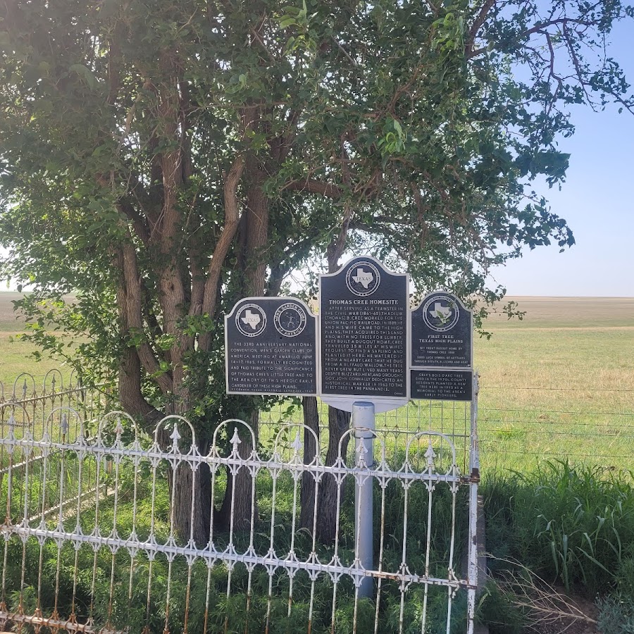 First Tree of the Texas Panhandle