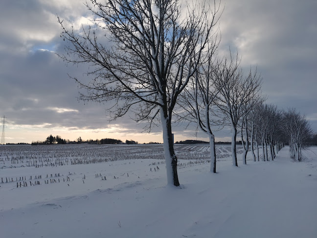 Telefonnummer for Klinik Nete P.