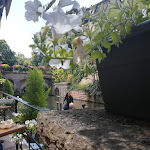 Photo n° 4 de l'avis de benoit.m fait le 15/07/2019 à 13:53 pour Caveau Saint-Pierre à Colmar