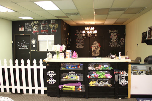 Pet Groomer «Ufuri Pet Salon», reviews and photos, 235 Huron Ave, Port Huron, MI 48060, USA