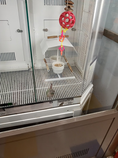 Pet Supply Store «Petco Animal Supplies», reviews and photos, 516 Valley Mall Pkwy, East Wenatchee, WA 98802, USA