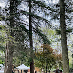 Photo n° 24 de l'avis de Delphine.e fait le 10/04/2023 à 18:17 pour Château de la Bourdaisière à Montlouis-sur-Loire