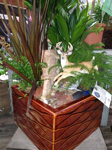 Florist «Viviano Flower Shop», reviews and photos, 32050 Harper Ave, St Clair Shores, MI 48082, USA