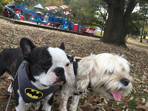 Park «Terrell Mill Park», reviews and photos, 480 Terrell Mill Road SE, Marietta, GA 30067, USA