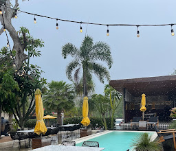 Gooseberry Restaurant photo