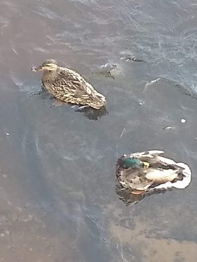 History Museum «SLATER MILL-Historic Site», reviews and photos, 67 Roosevelt Ave, Pawtucket, RI 02860, USA