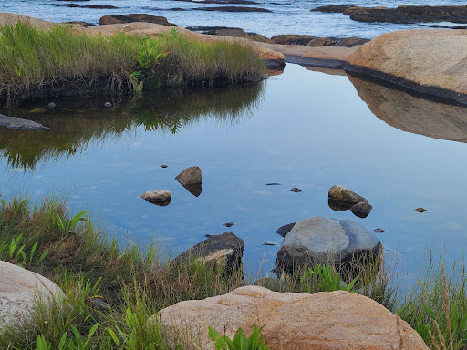 Hiking Area «Black Point Trailhead», reviews and photos, 655 Ocean Rd, Narragansett, RI 02882, USA