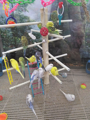 Pet Supply Store «Petco Animal Supplies», reviews and photos, 1215-1309 NJ-33 #1, Hamilton Township, NJ 08690, USA