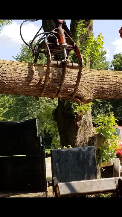 AAlways moving tree service