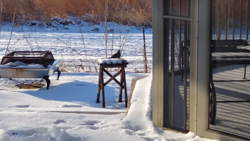 State Park «James Pate Philip State Park», reviews and photos, 2050 W Stearns Rd, Bartlett, IL 60103, USA