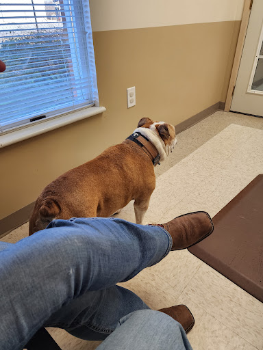 Blue Skies Veterinary Hospital image