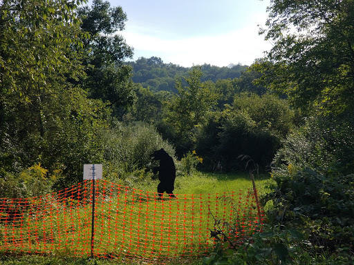 Tourist Attraction «Sussex County Sunflower Maze», reviews and photos, 101 Co Rd 645, Sandyston, NJ 07826, USA