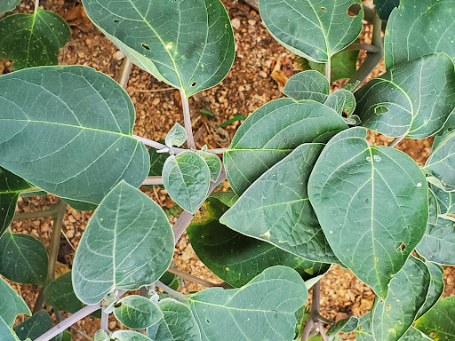 Performing Arts Theater «Emilyann Theatre», reviews and photos, 1101 Ranch Rd 2325, Wimberley, TX 78676, USA