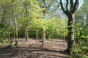 Worsley Woods image