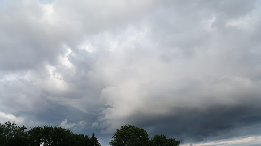 Discount Store «Dollar General», reviews and photos, 37376 Glenwood Rd, Westland, MI 48186, USA