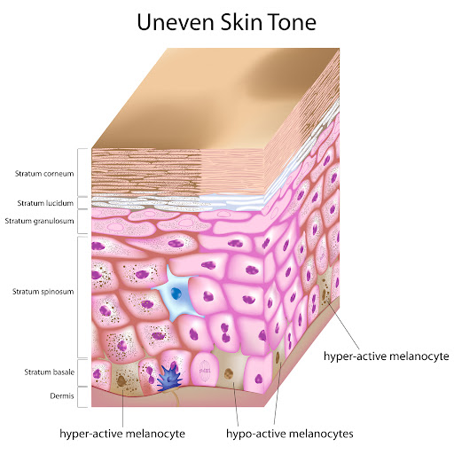 Facial Spa «Beauty Oasis Rx Facial Clinic», reviews and photos, 977 Raintree Cir #220, Allen, TX 75013, USA