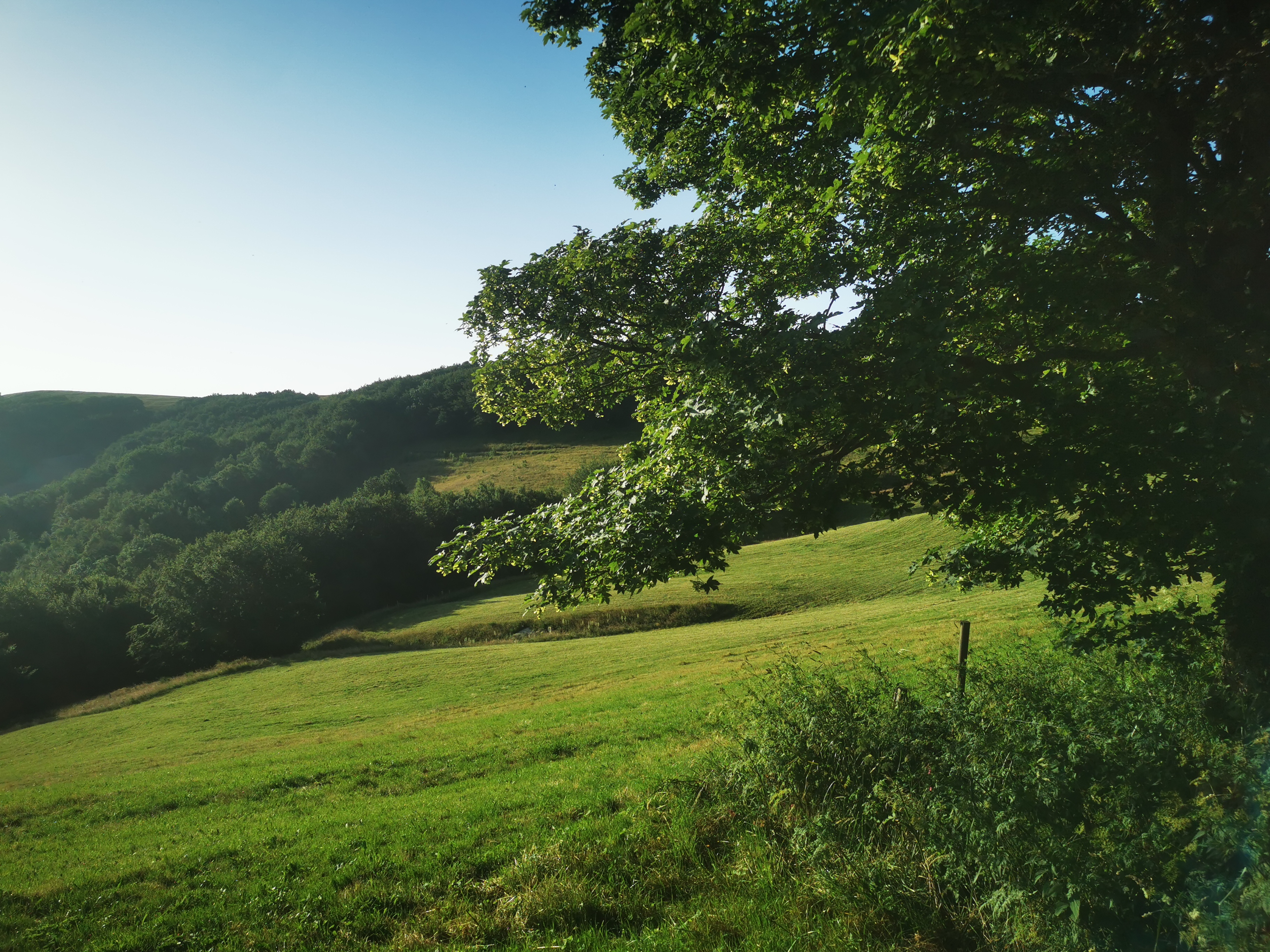 Photo n° 12 de l'avis de Seb. fait le 14/07/2023 à 04:55