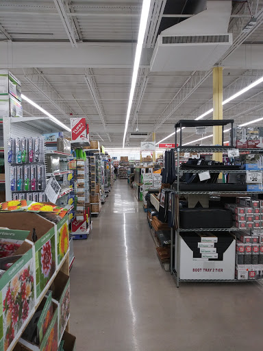 Discount Store «Ocean State Job Lot», reviews and photos, 2291 Northampton St, Holyoke, MA 01040, USA