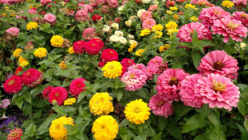 Wedding Venue «The Reserve», reviews and photos, 4805 SW 229th Ave, Aloha, OR 97007, USA