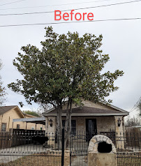Lone Star Landscaping and Tree Service - Photo 7 - Car repair in San Antonio, TX, San Antonio