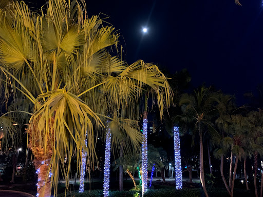 Performing Arts Theater «Broward Center for the Performing Arts», reviews and photos, 201 SW 5th Ave, Fort Lauderdale, FL 33312, USA