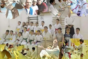 Aikido Klub Bušido Niš image