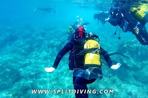 Split Diving Experience image