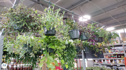 Home Improvement Store «The Home Depot», reviews and photos, 1955 E Pacheco Blvd, Los Banos, CA 93635, USA