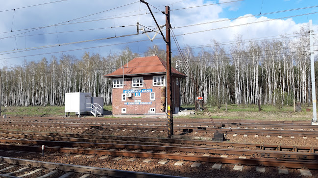 Comentarii opinii despre Bydgoszcz Leśna