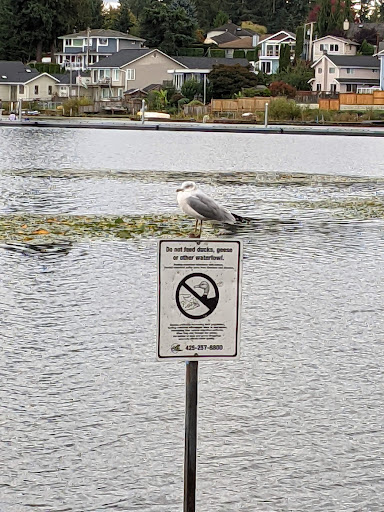 Park «Thornton A. Sullivan Park», reviews and photos, 11405 Silver Lake Rd, Everett, WA 98208, USA