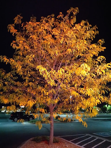 Grocery Store «King Soopers», reviews and photos, 7284 Lagae Rd, Castle Pines, CO 80108, USA