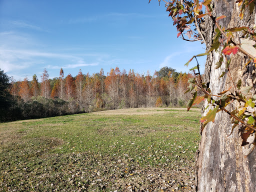 Park «Cliff Stephens Park», reviews and photos, 600 Fairwood Ave, Clearwater, FL 33759, USA