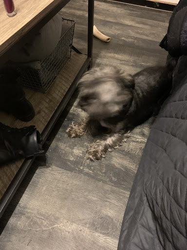 Explore medium tattoo ideas for females, creative tattoo ideas in Plymouth, available at MHP Creations Body Piercing