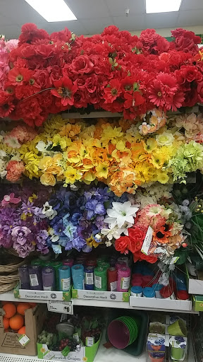 Dollar Store «Dollar Tree», reviews and photos, 11910 Valley Blvd, El Monte, CA 91732, USA