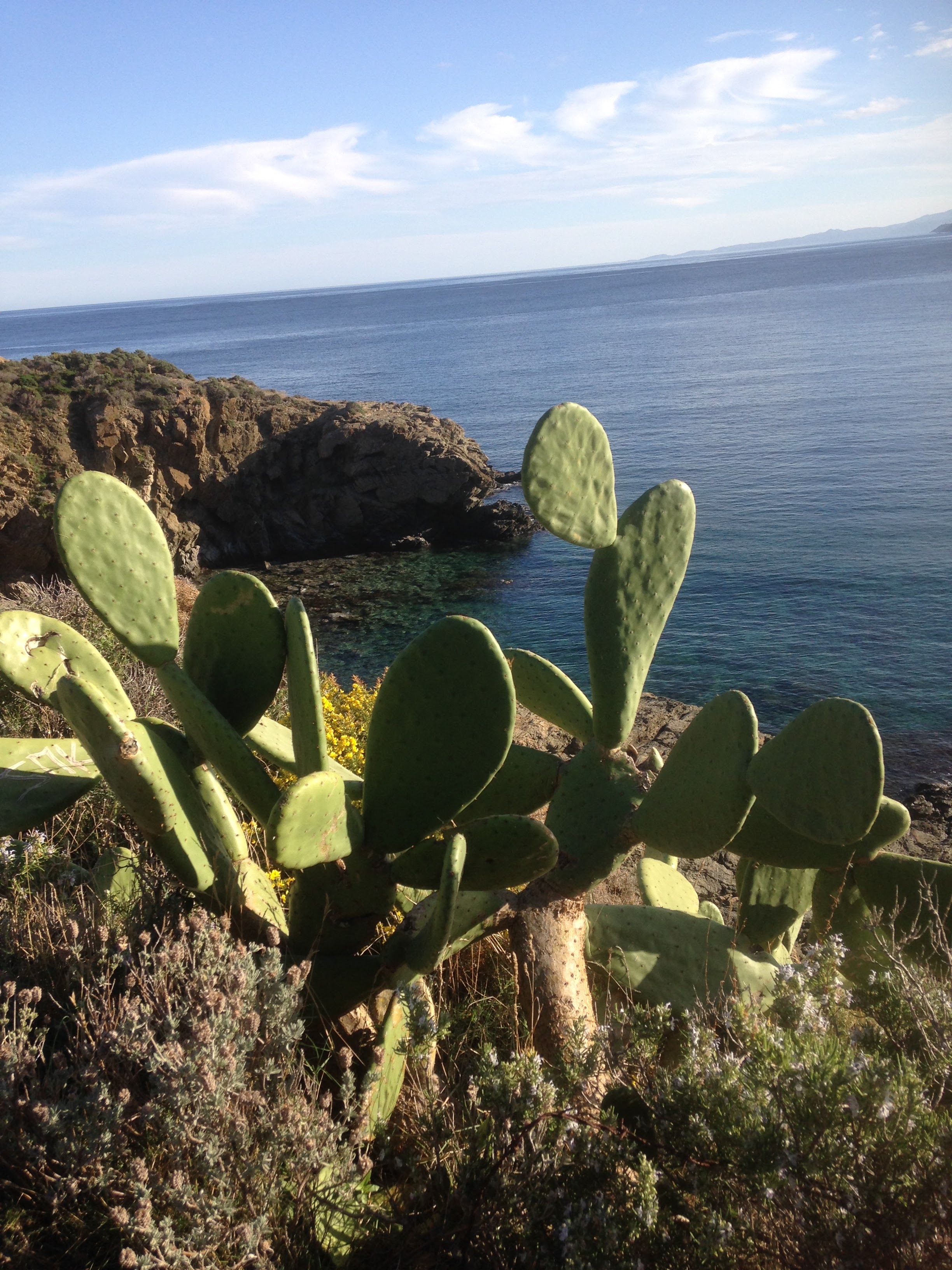 Photo n° 3 de l'avis de Cathy.e fait le 23/05/2019 à 12:07