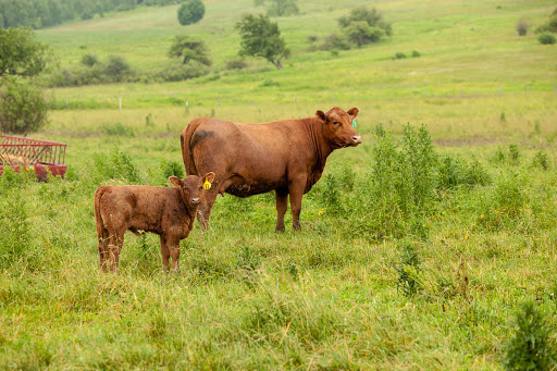 Butcher Shop «Fleishers Craft Butchery», reviews and photos, 192 5th Ave, Brooklyn, NY 11217, USA