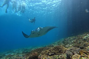 Lembongan Snorkeling & Island Tour image