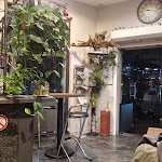 Photo n°1 de l'avis de Gregor.e fait le 25/08/2023 à 19:13 sur le restaurants Pizzalijn à Antwerp