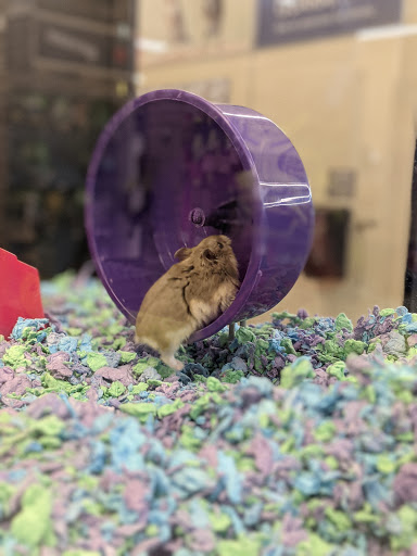 Pet Supply Store «PetSmart», reviews and photos, 270 Marketplace Boulevard, Selinsgrove, PA 17870, USA