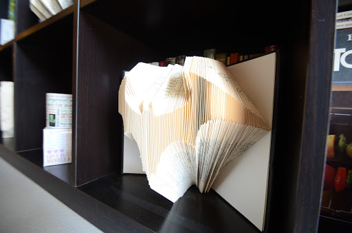 Used Book Store «The Looking Glass», reviews and photos, 823 S Oak Park Ave, Oak Park, IL 60304, USA